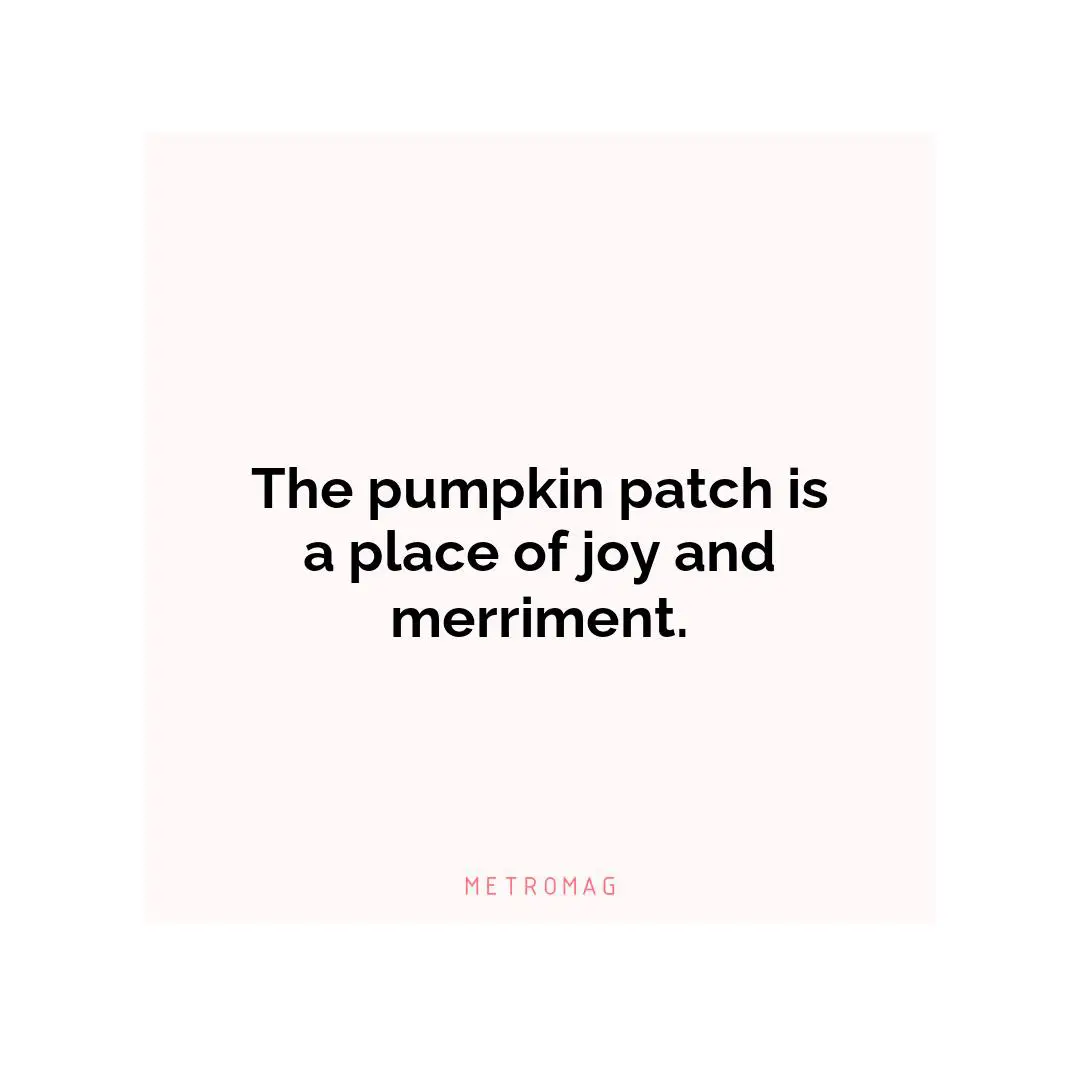 The pumpkin patch is a place of joy and merriment.