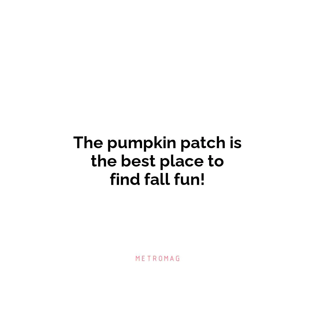 The pumpkin patch is the best place to find fall fun!