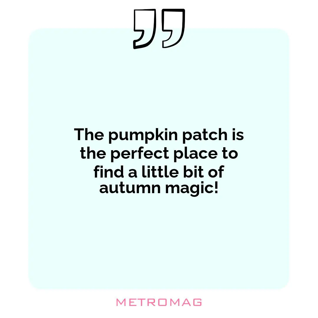 The pumpkin patch is the perfect place to find a little bit of autumn magic!