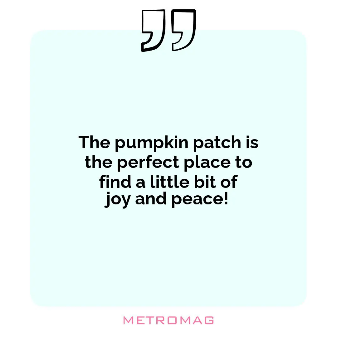 The pumpkin patch is the perfect place to find a little bit of joy and peace!