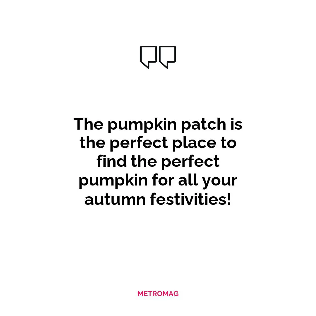 The pumpkin patch is the perfect place to find the perfect pumpkin for all your autumn festivities!
