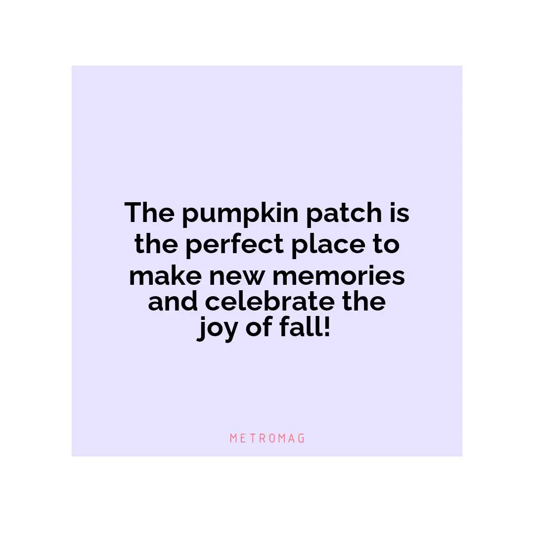 The pumpkin patch is the perfect place to make new memories and celebrate the joy of fall!