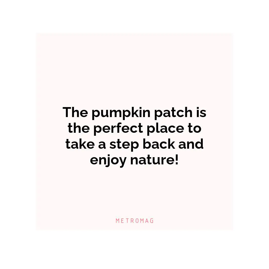 The pumpkin patch is the perfect place to take a step back and enjoy nature!