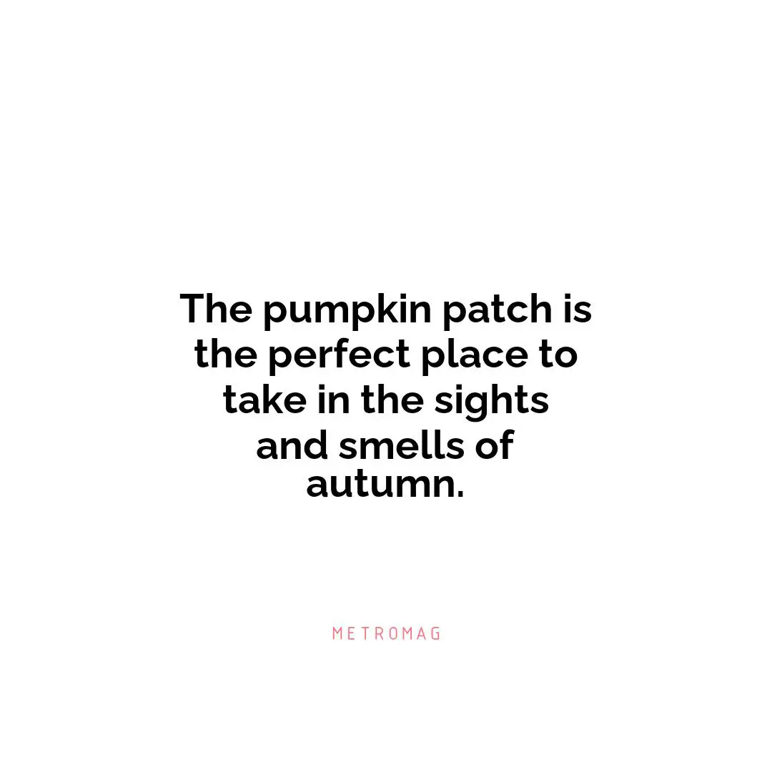 The pumpkin patch is the perfect place to take in the sights and smells of autumn.