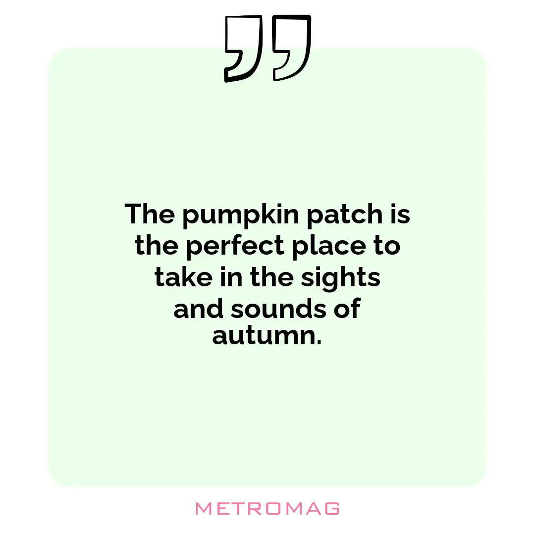 The pumpkin patch is the perfect place to take in the sights and sounds of autumn.