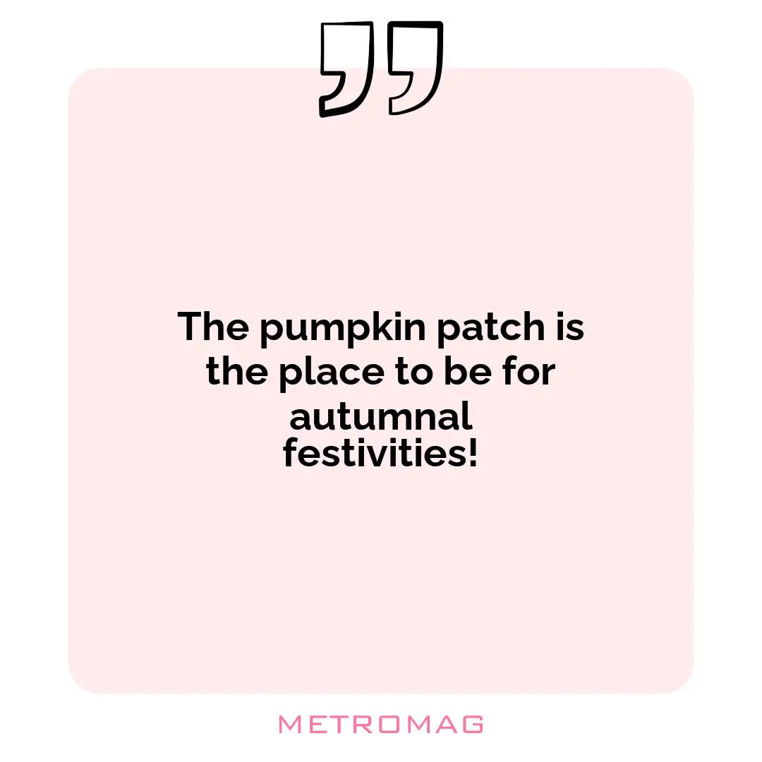 The pumpkin patch is the place to be for autumnal festivities!