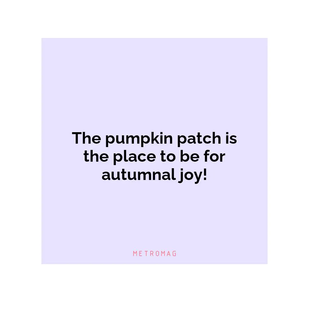 The pumpkin patch is the place to be for autumnal joy!