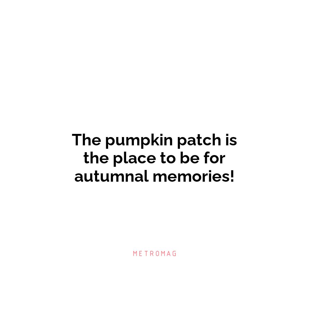 The pumpkin patch is the place to be for autumnal memories!