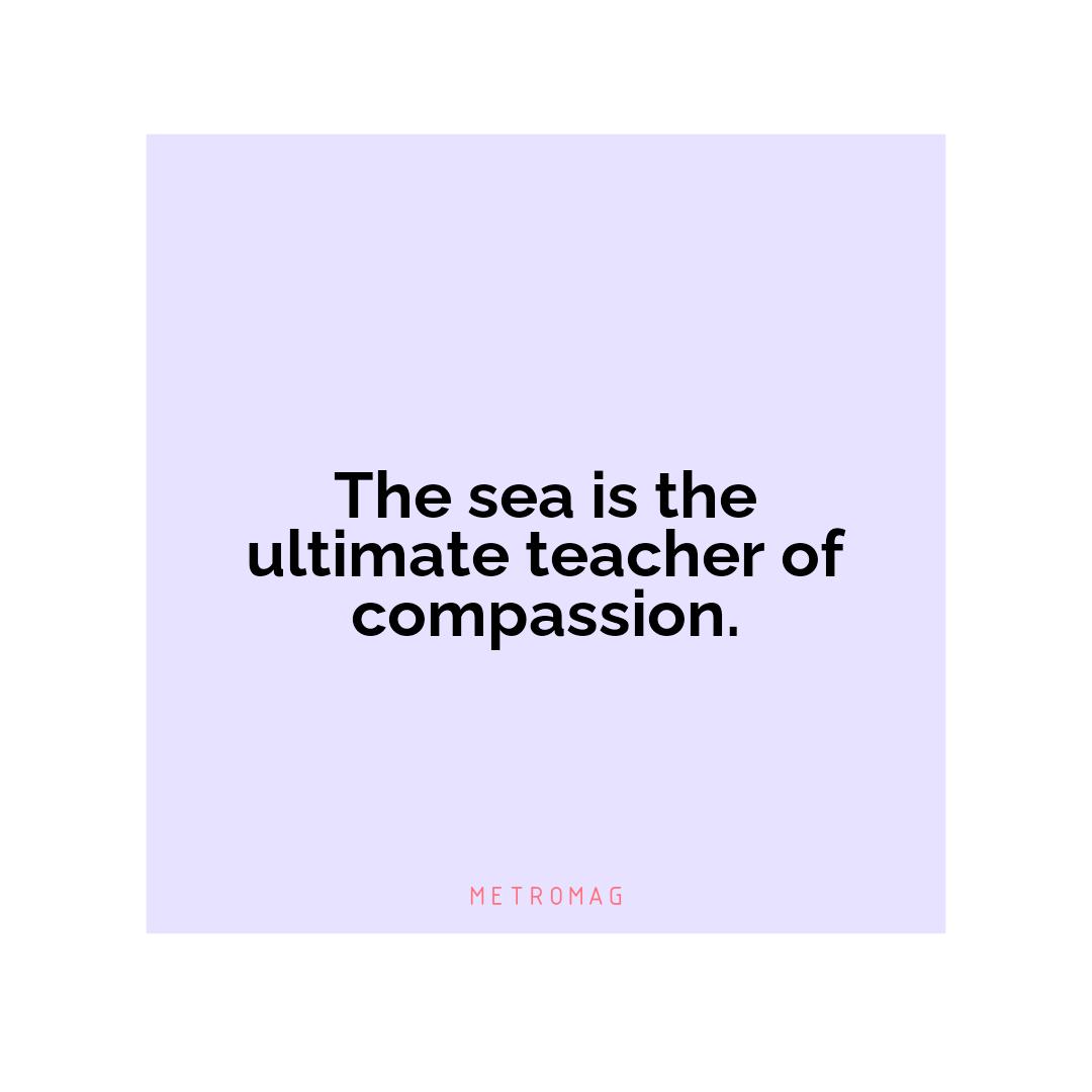 The sea is the ultimate teacher of compassion.