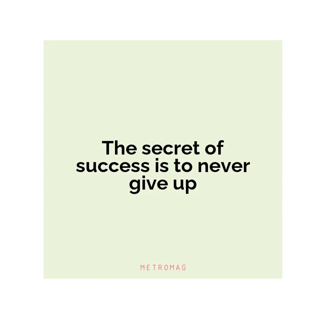 The secret of success is to never give up