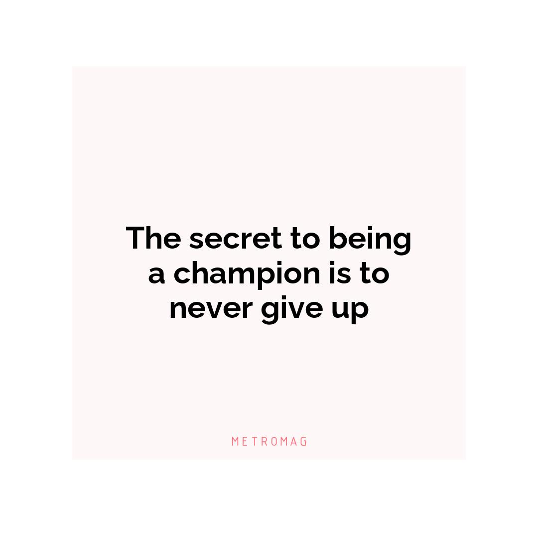 The secret to being a champion is to never give up