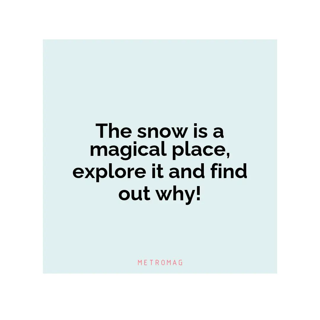 The snow is a magical place, explore it and find out why!