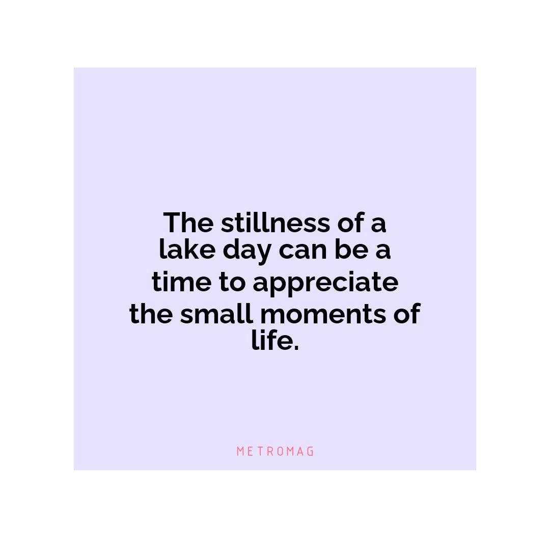 The stillness of a lake day can be a time to appreciate the small moments of life.