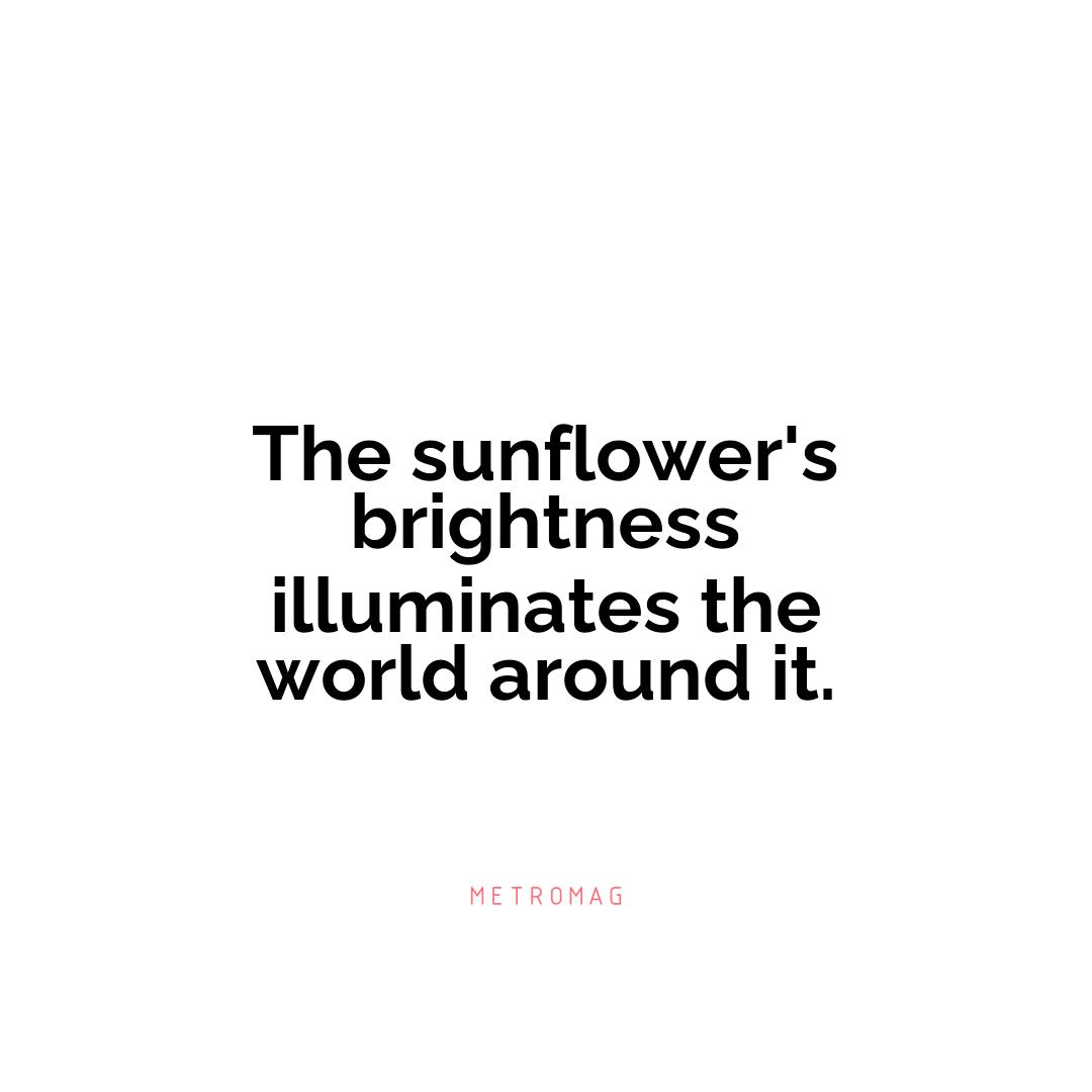 The sunflower's brightness illuminates the world around it.