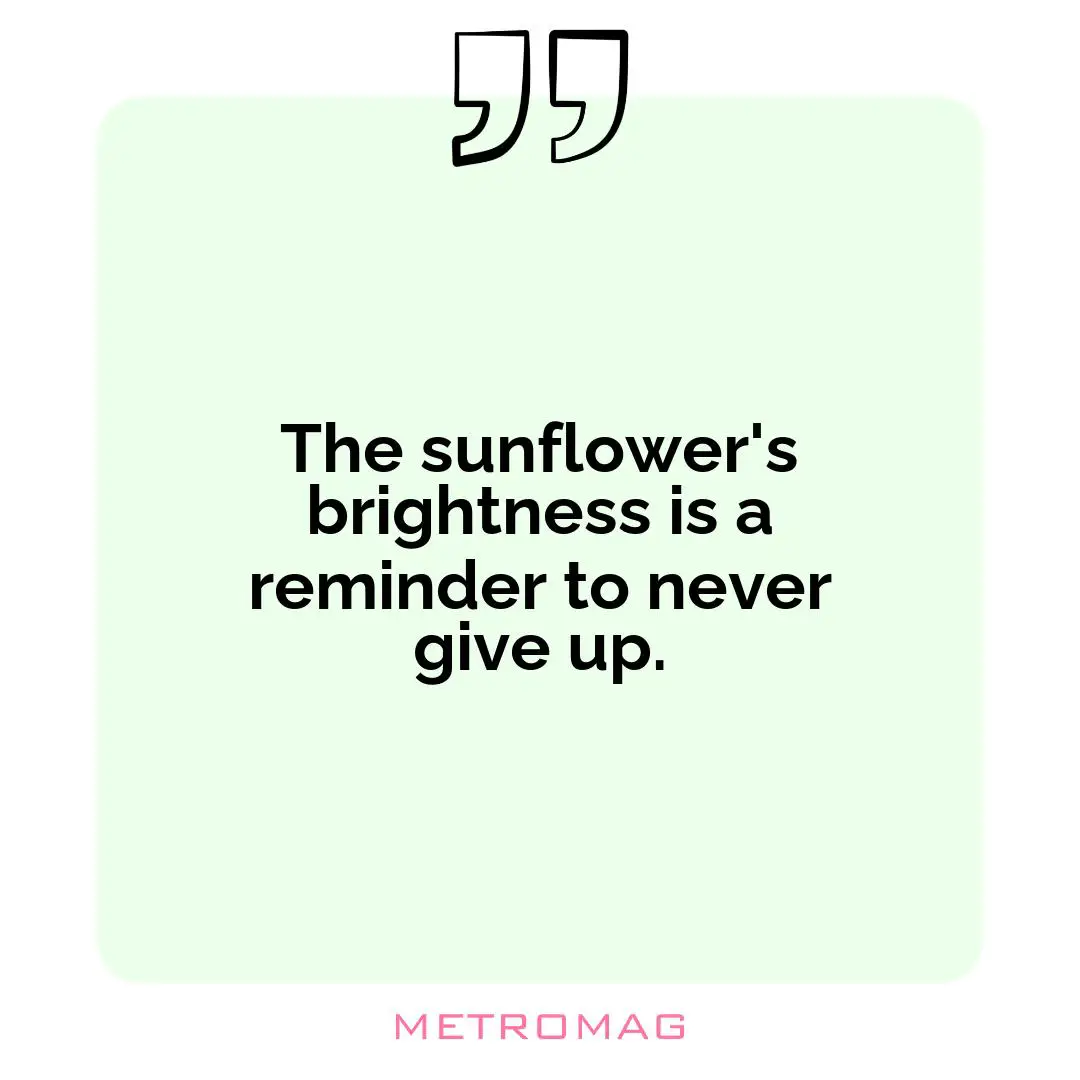 The sunflower's brightness is a reminder to never give up.