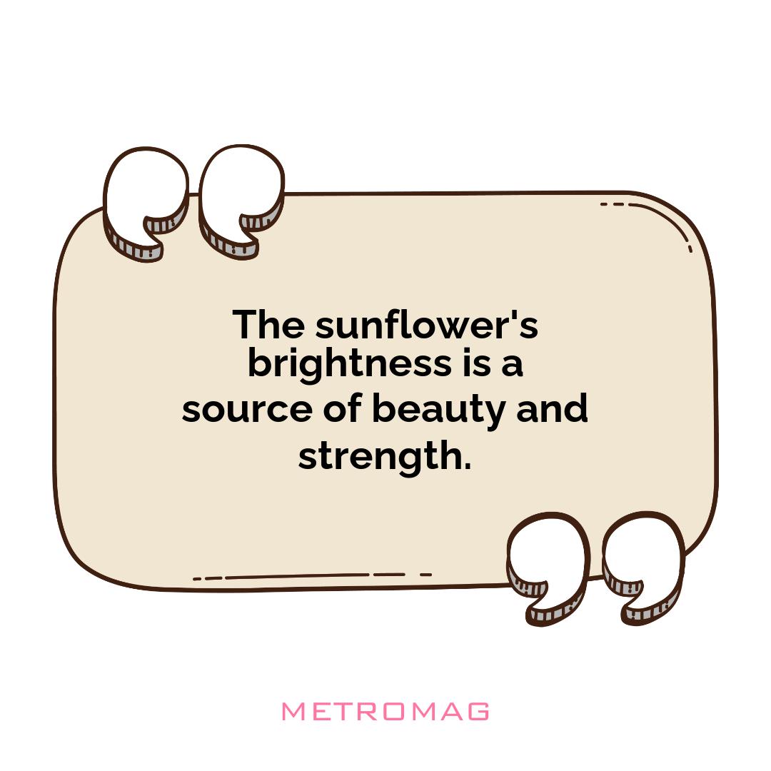 The sunflower's brightness is a source of beauty and strength.