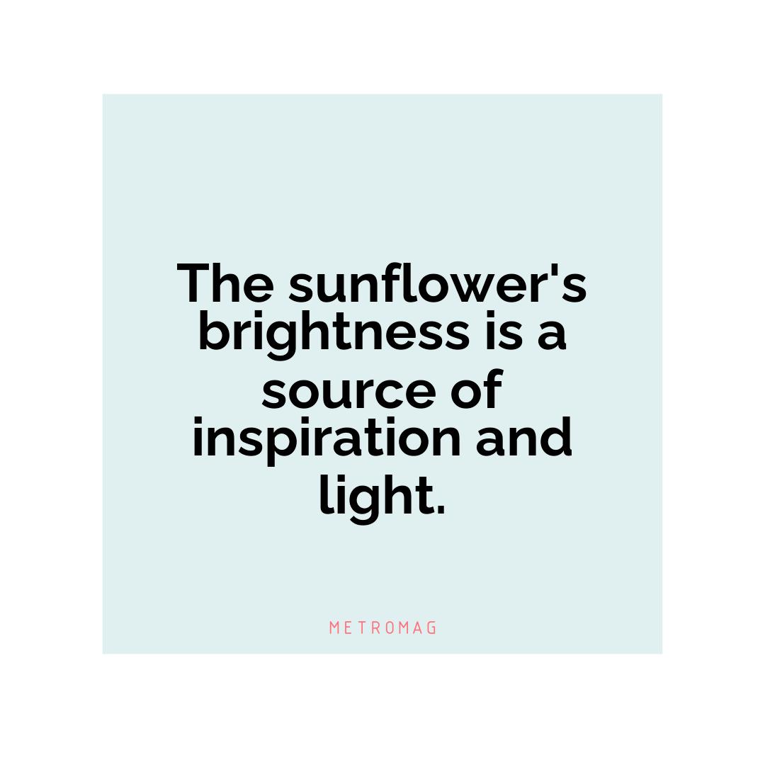 The sunflower's brightness is a source of inspiration and light.