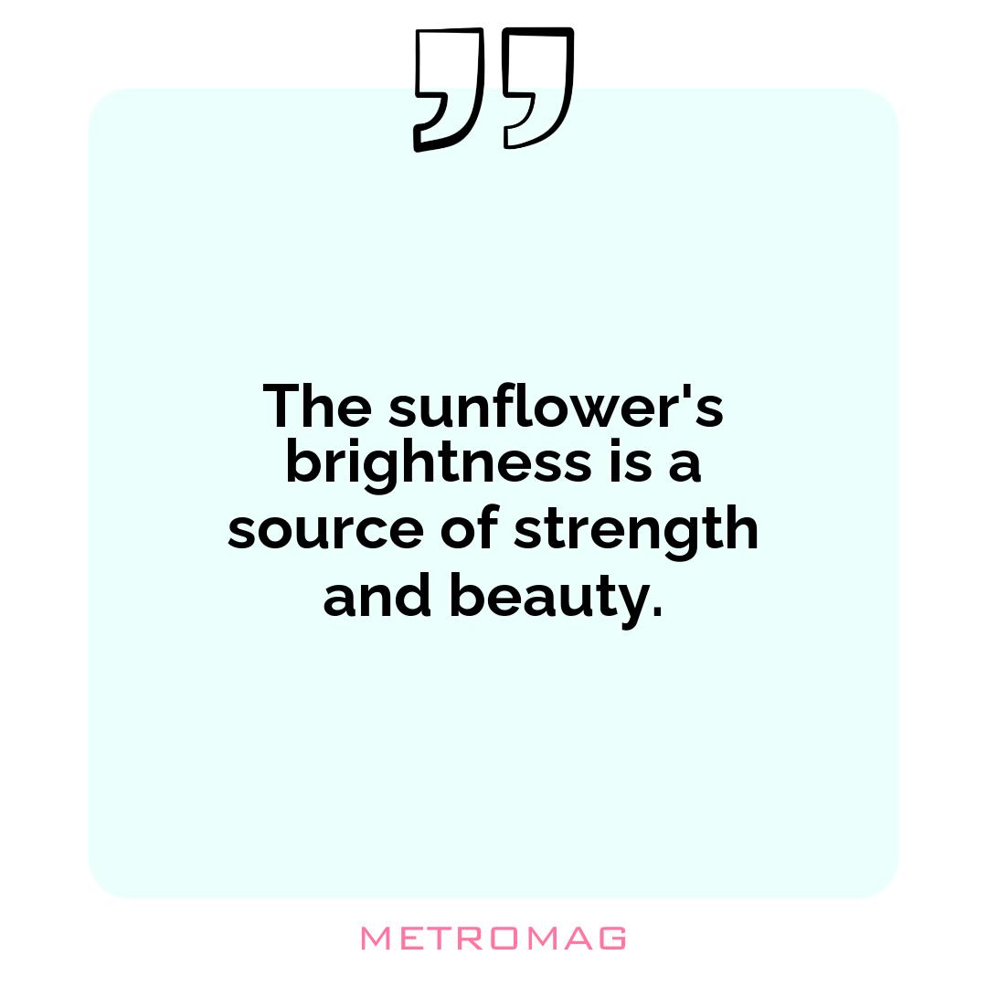 The sunflower's brightness is a source of strength and beauty.
