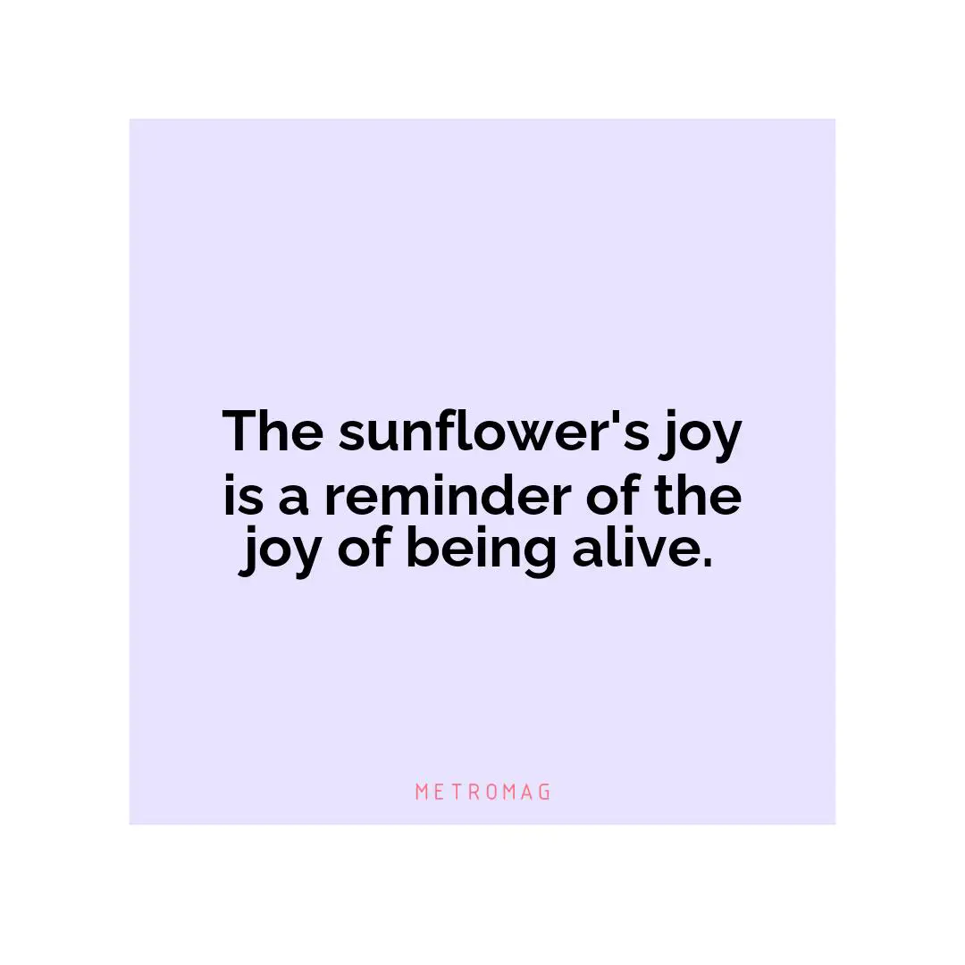 The sunflower's joy is a reminder of the joy of being alive.