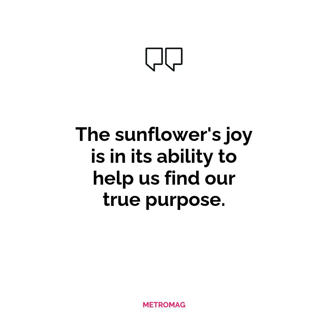 The sunflower's joy is in its ability to help us find our true purpose.