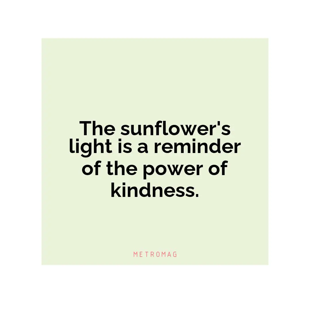 The sunflower's light is a reminder of the power of kindness.