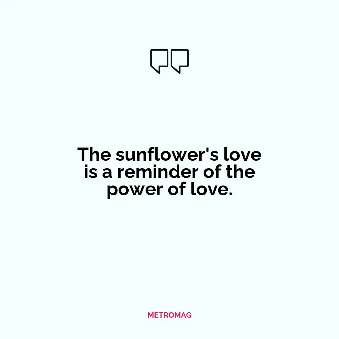 The sunflower's love is a reminder of the power of love.