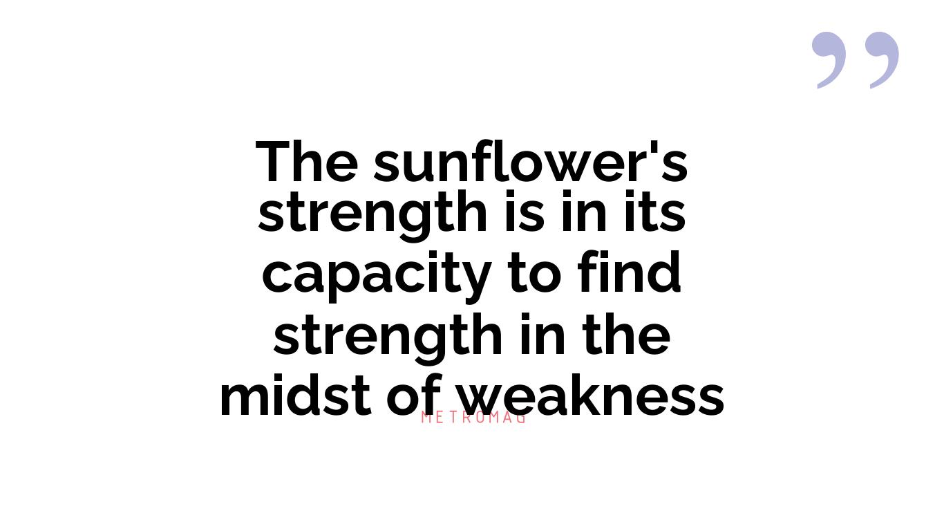 The sunflower's strength is in its capacity to find strength in the midst of weakness