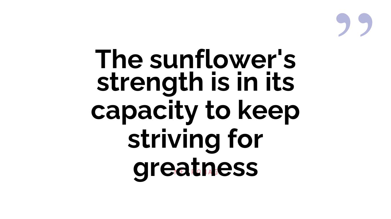 The sunflower's strength is in its capacity to keep striving for greatness