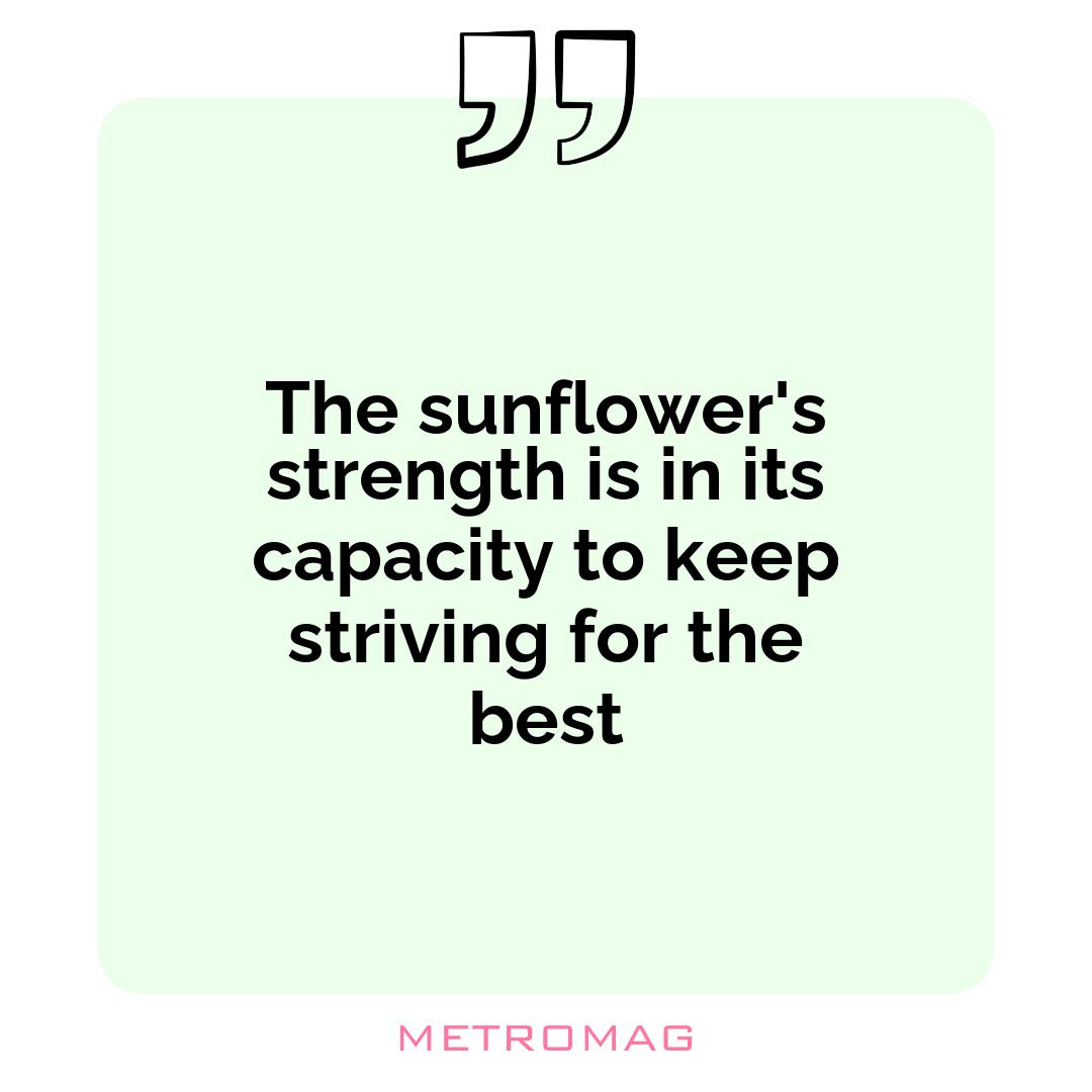 The sunflower's strength is in its capacity to keep striving for the best