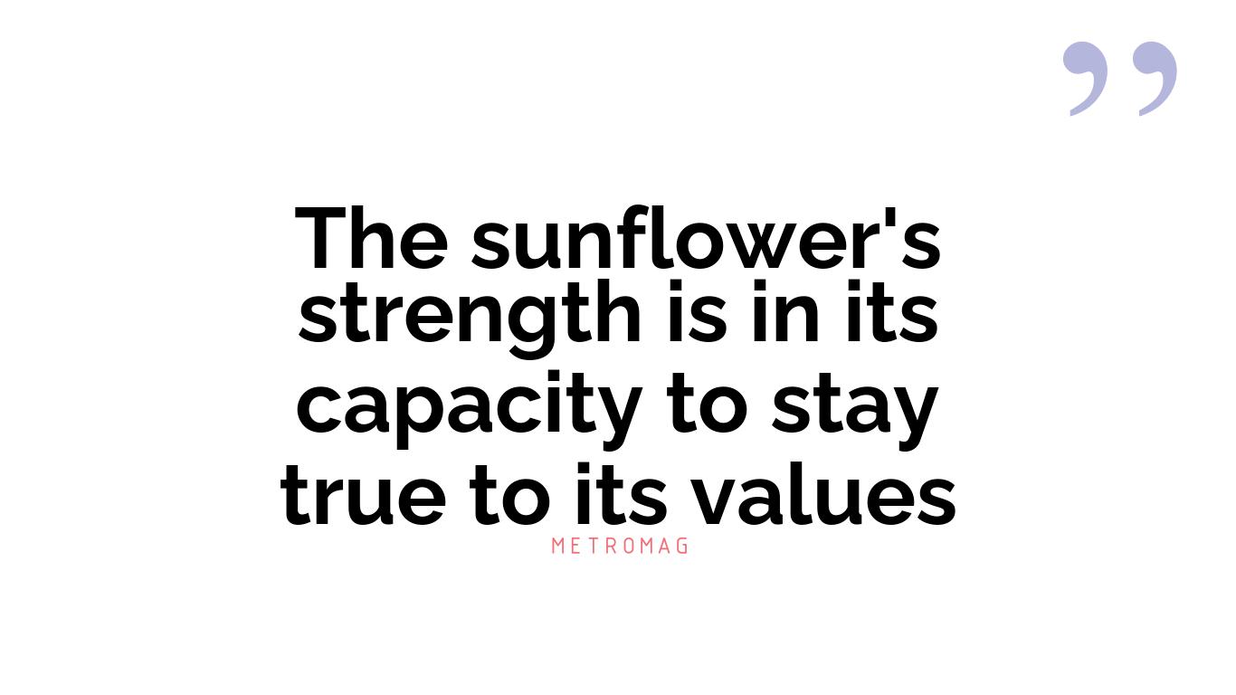 The sunflower's strength is in its capacity to stay true to its values