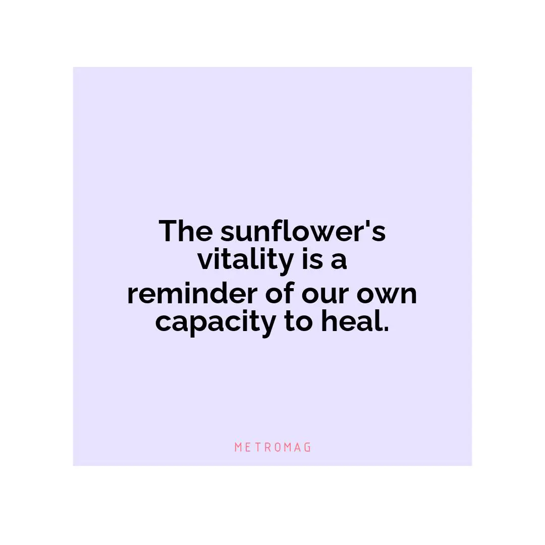 The sunflower's vitality is a reminder of our own capacity to heal.