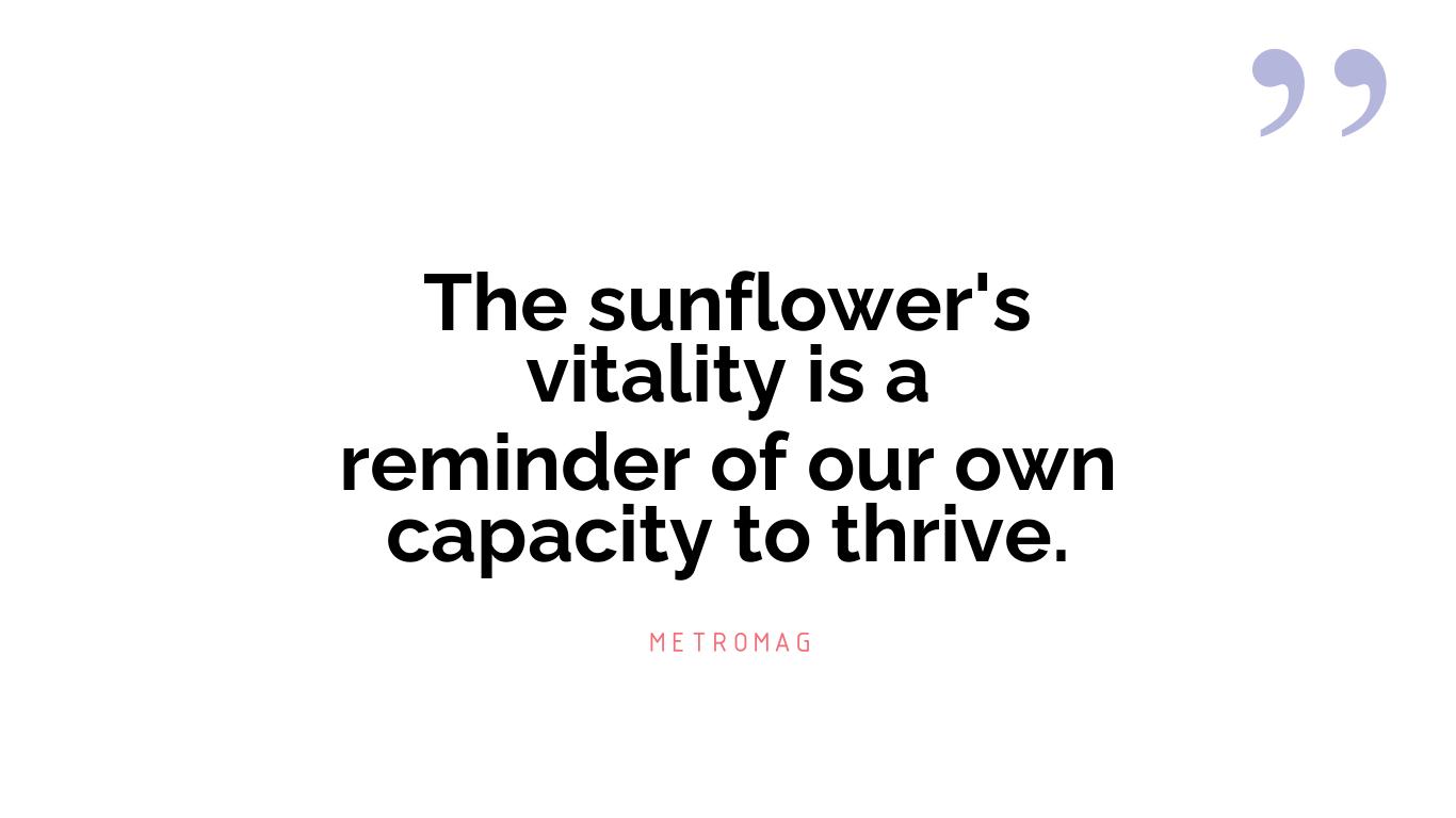 The sunflower's vitality is a reminder of our own capacity to thrive.
