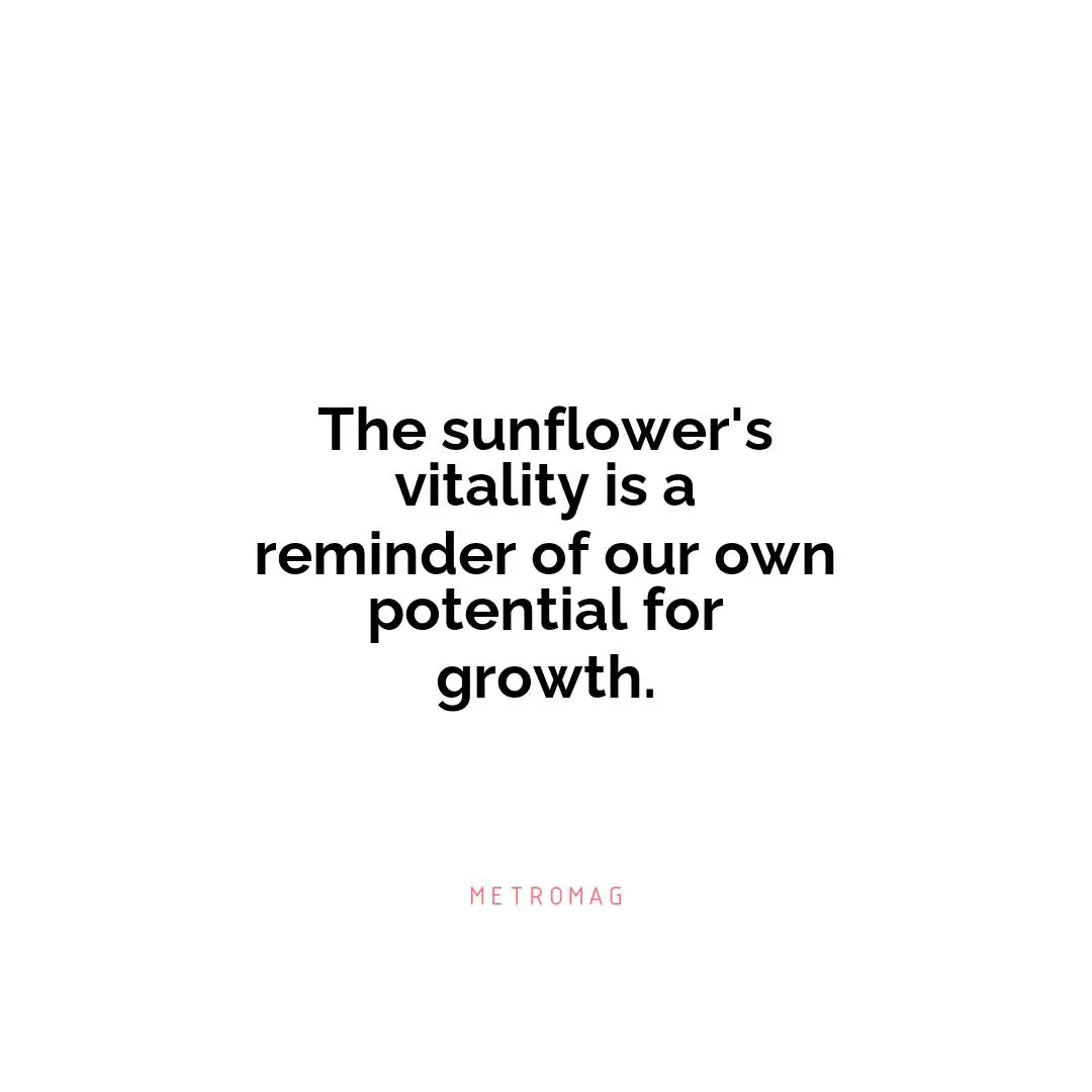 The sunflower's vitality is a reminder of our own potential for growth.
