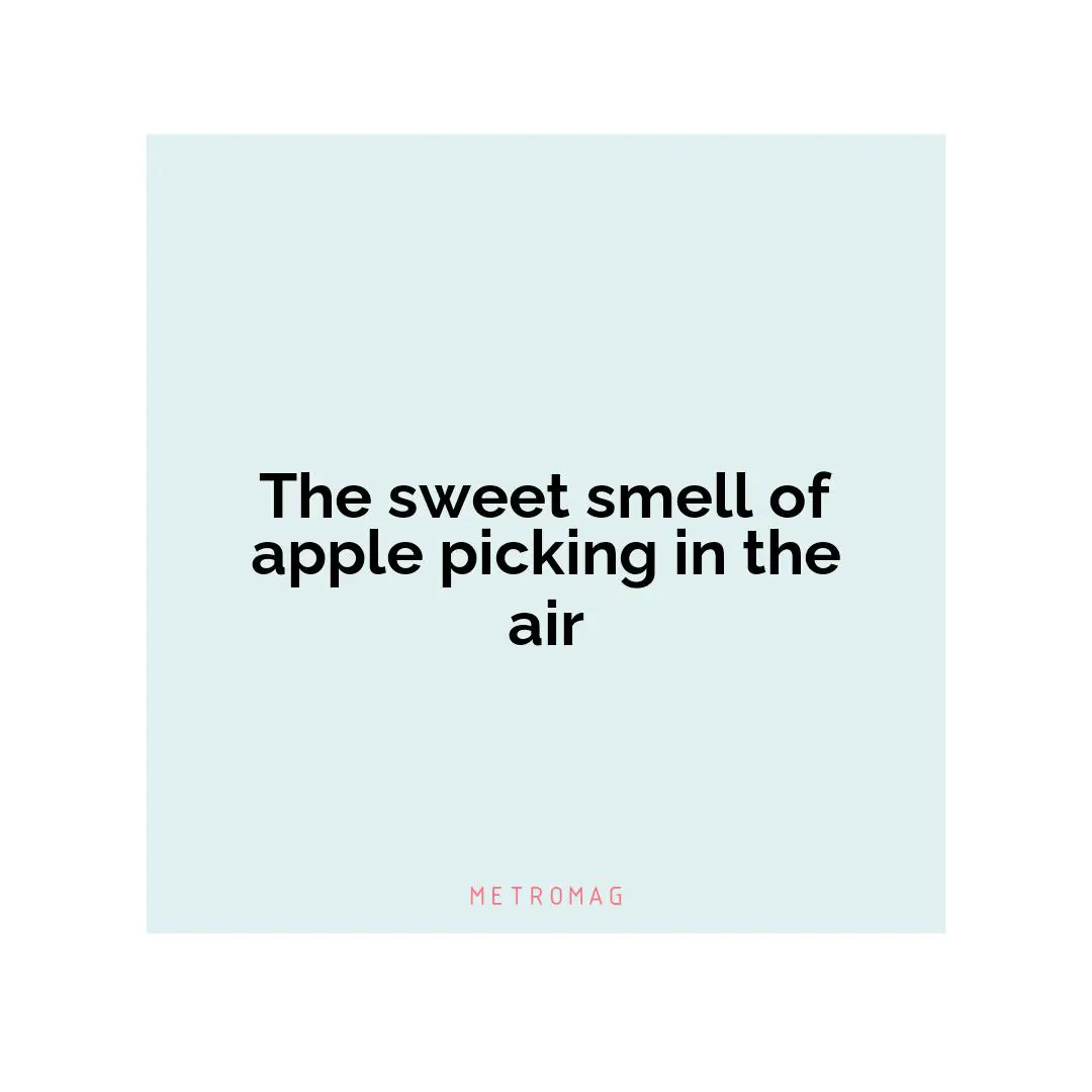 The sweet smell of apple picking in the air