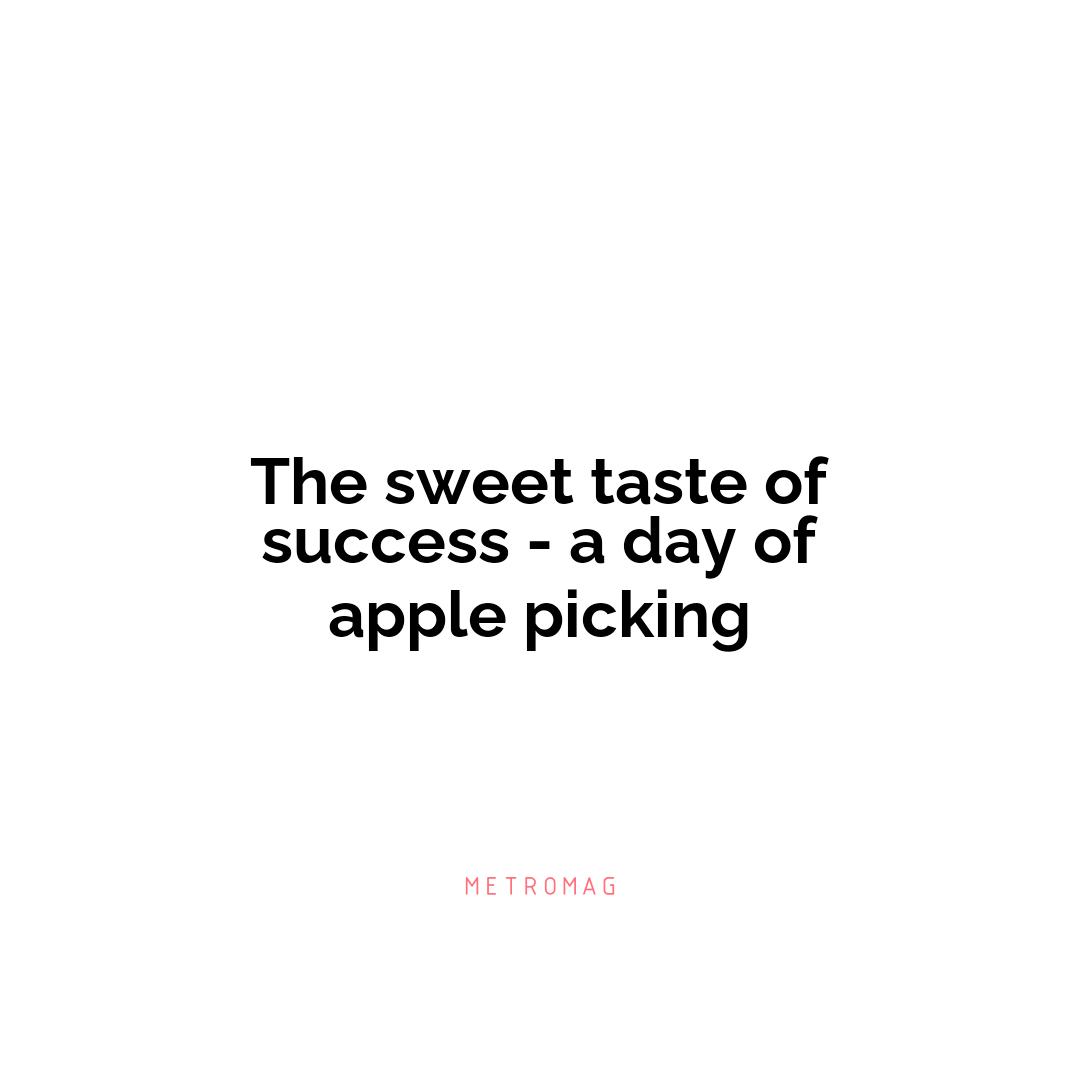 The sweet taste of success - a day of apple picking