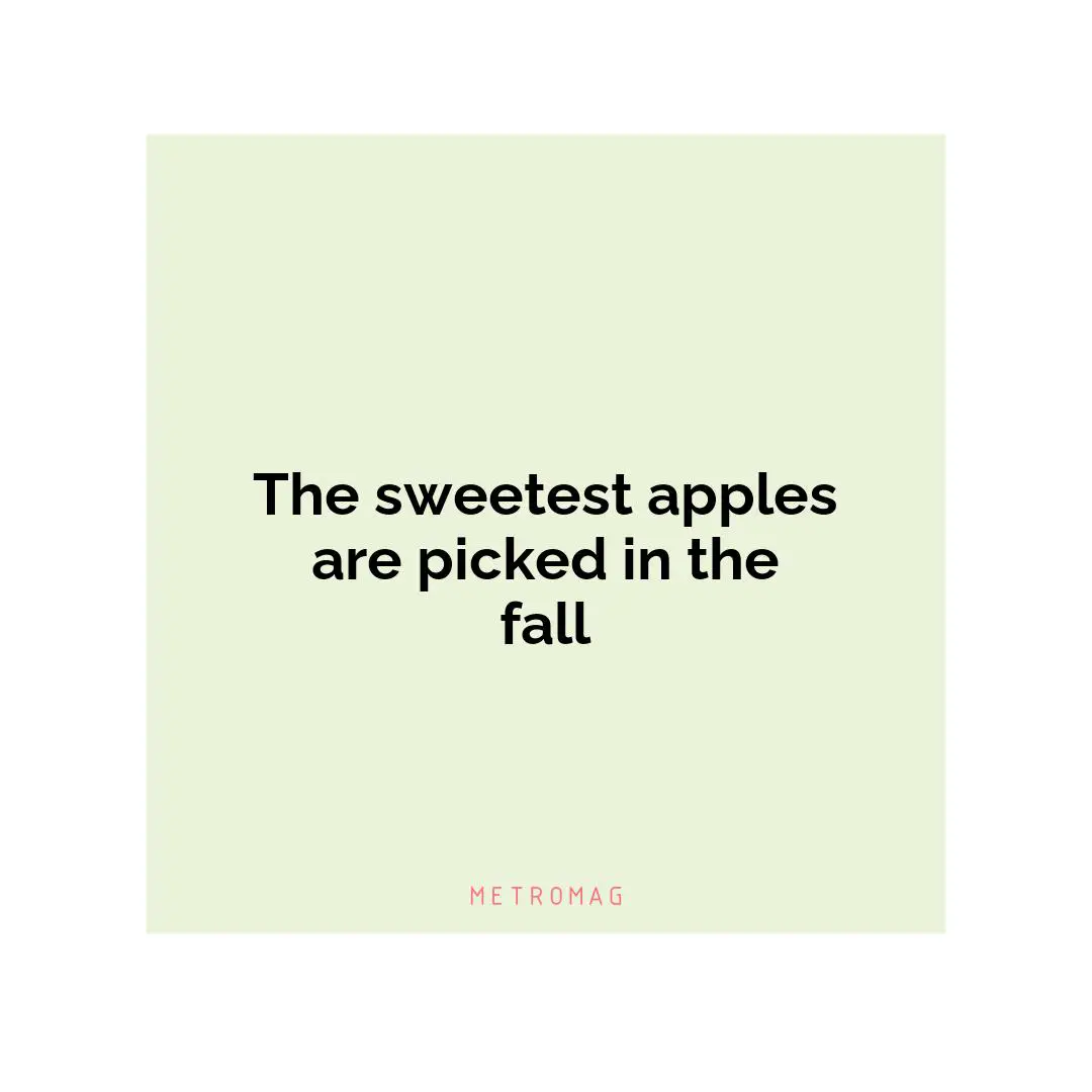 The sweetest apples are picked in the fall
