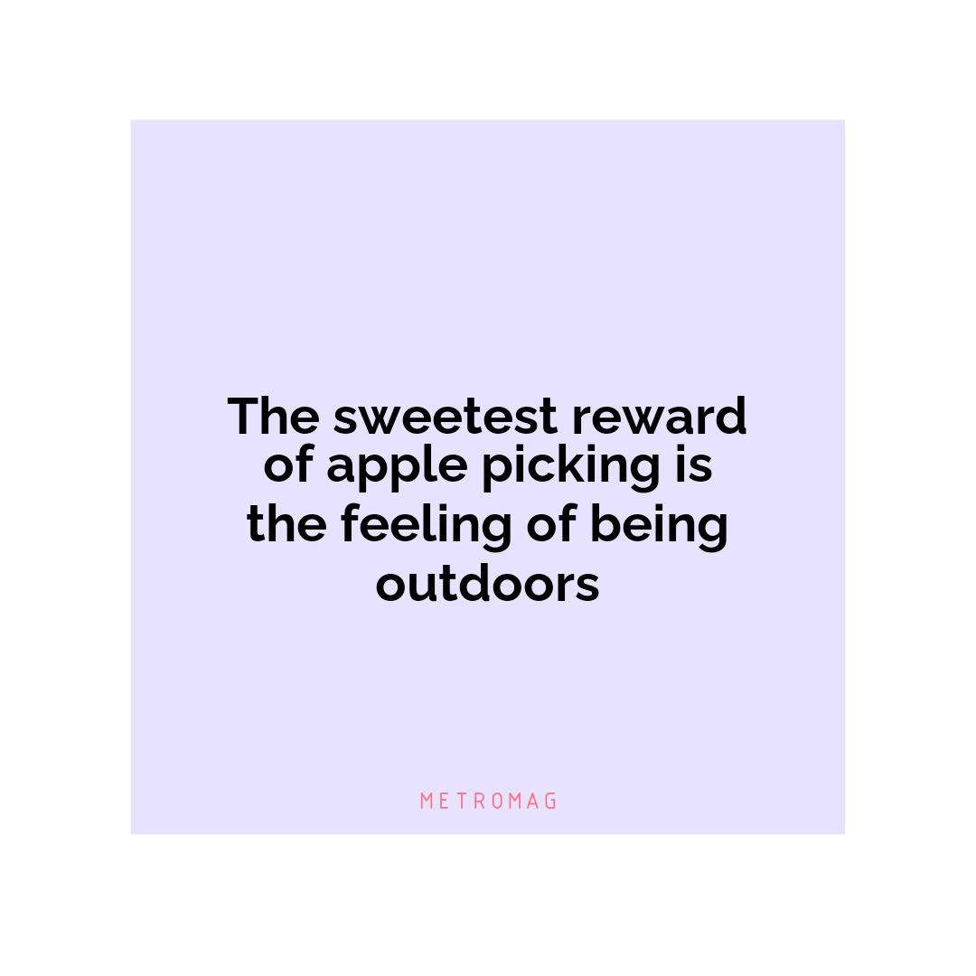The sweetest reward of apple picking is the feeling of being outdoors