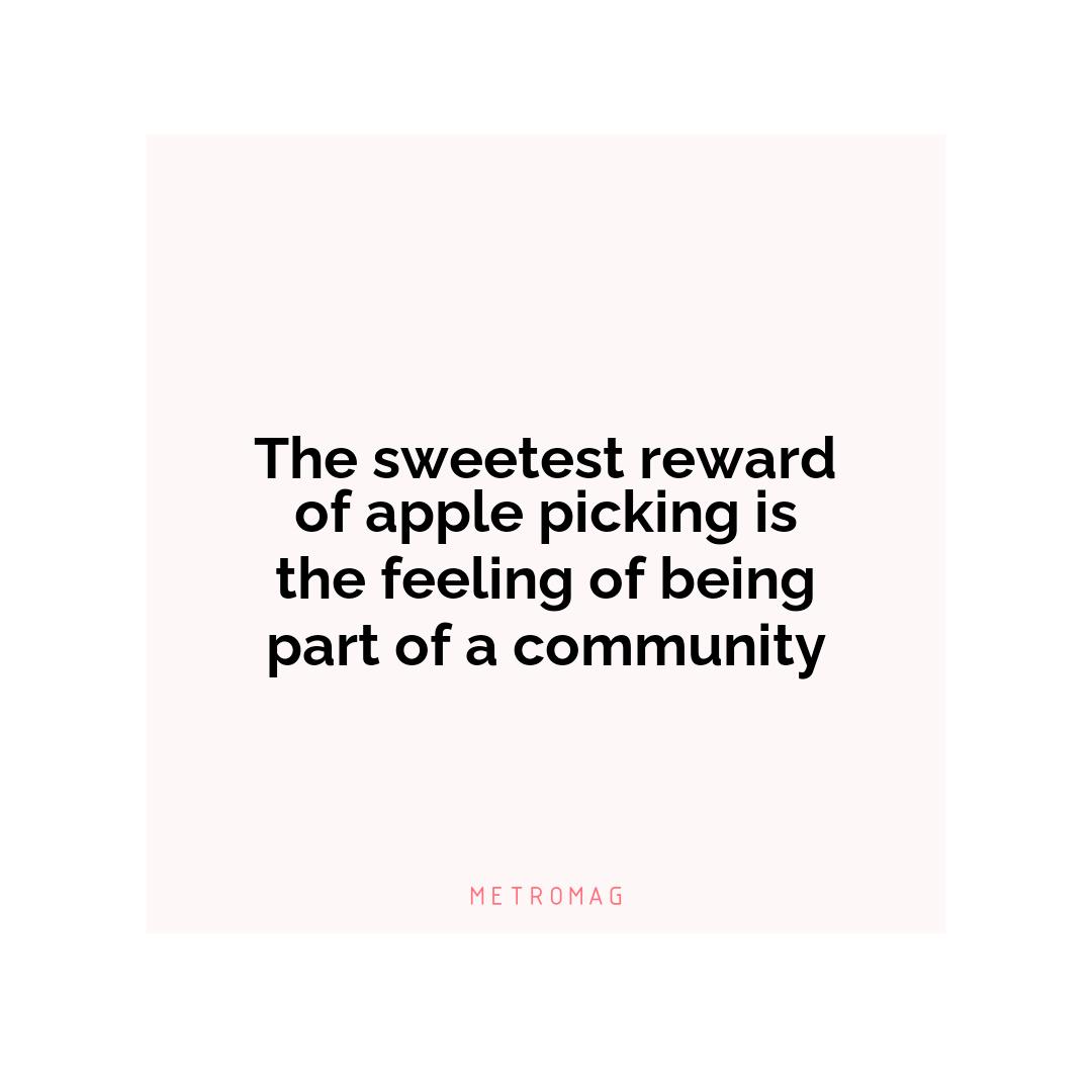 The sweetest reward of apple picking is the feeling of being part of a community