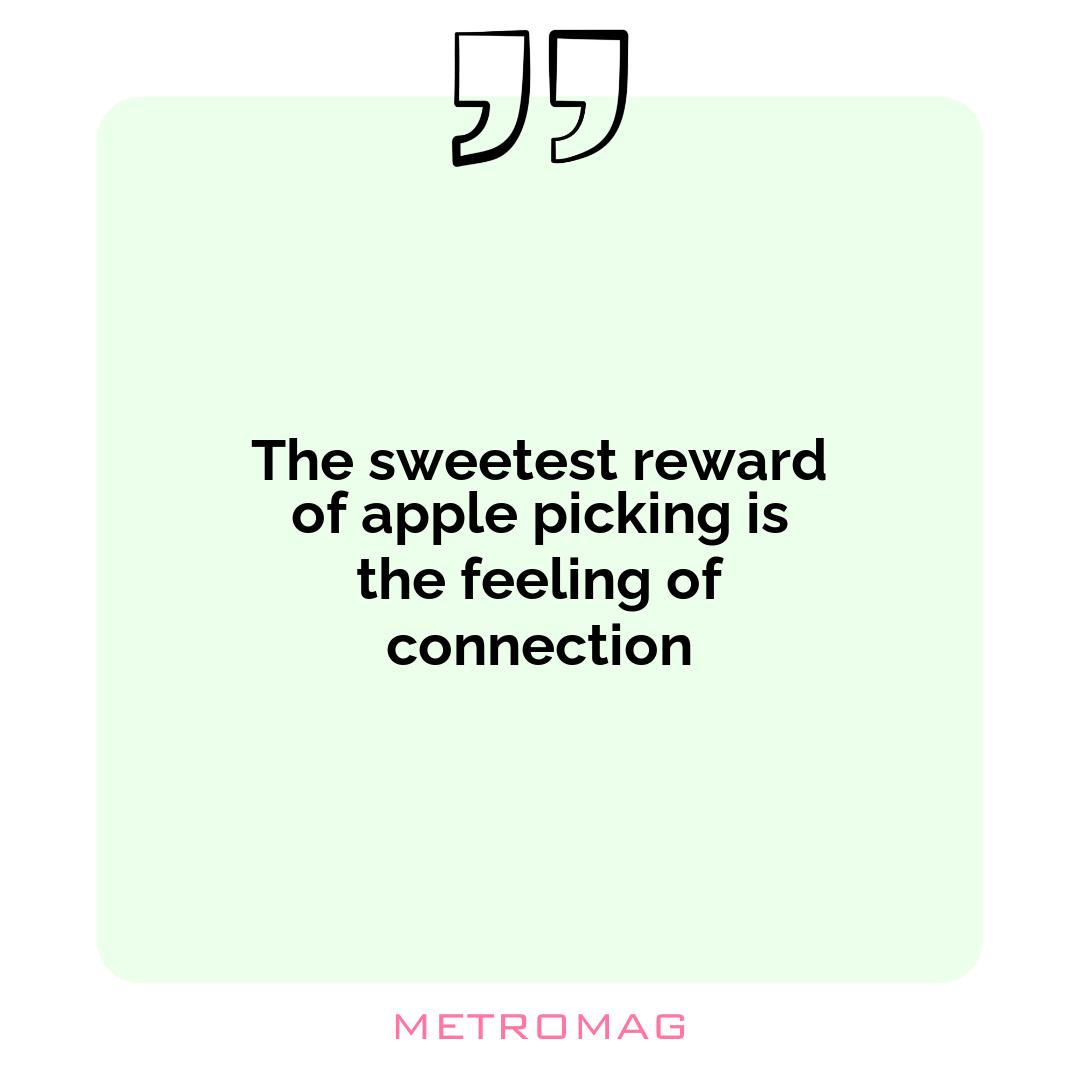 The sweetest reward of apple picking is the feeling of connection