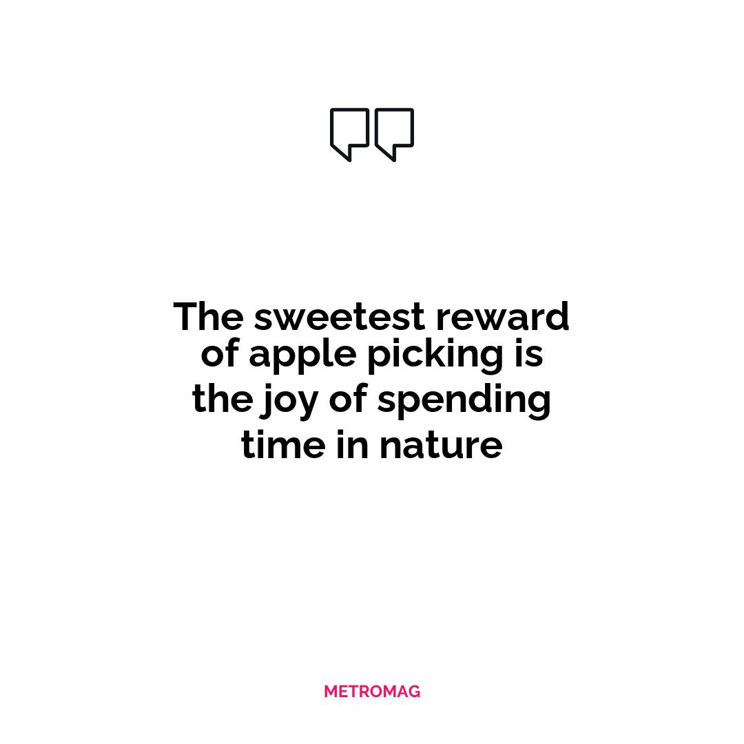The sweetest reward of apple picking is the joy of spending time in nature