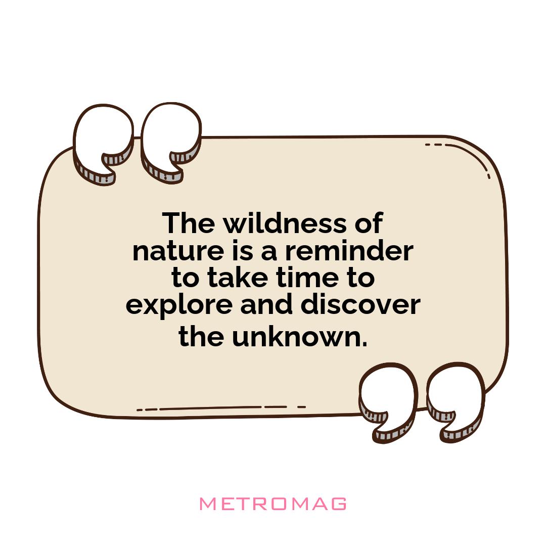The wildness of nature is a reminder to take time to explore and discover the unknown.