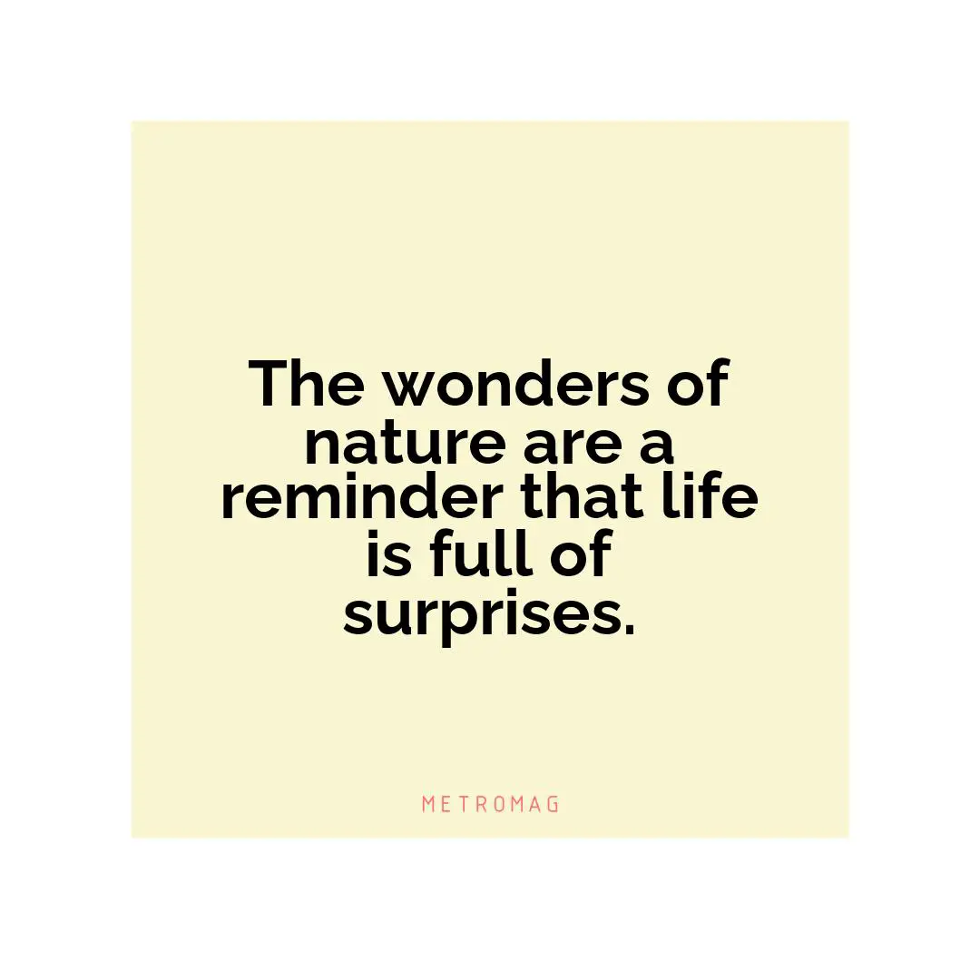 The wonders of nature are a reminder that life is full of surprises.