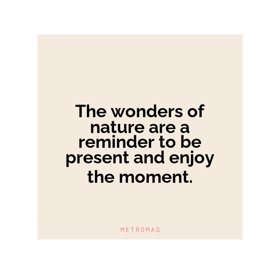 The wonders of nature are a reminder to be present and enjoy the moment.