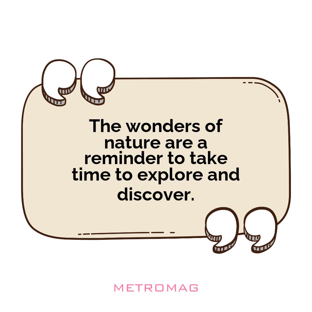 The wonders of nature are a reminder to take time to explore and discover.