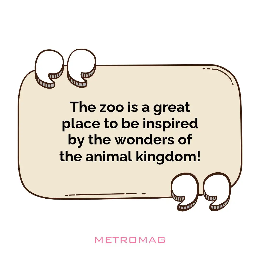 The zoo is a great place to be inspired by the wonders of the animal kingdom!