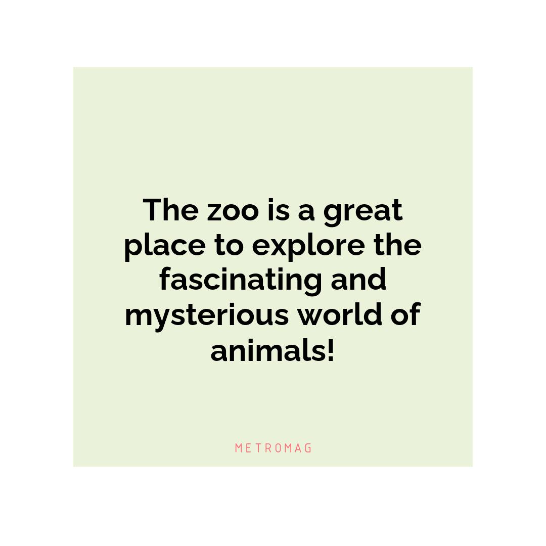 The zoo is a great place to explore the fascinating and mysterious world of animals!