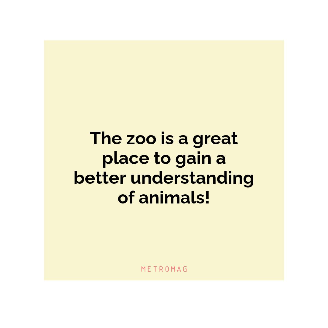 The zoo is a great place to gain a better understanding of animals!