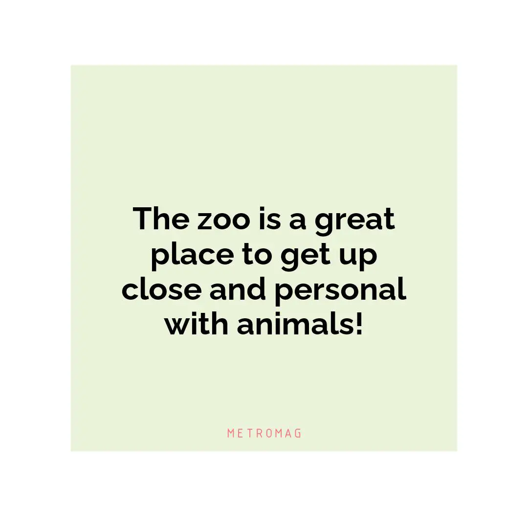 The zoo is a great place to get up close and personal with animals!
