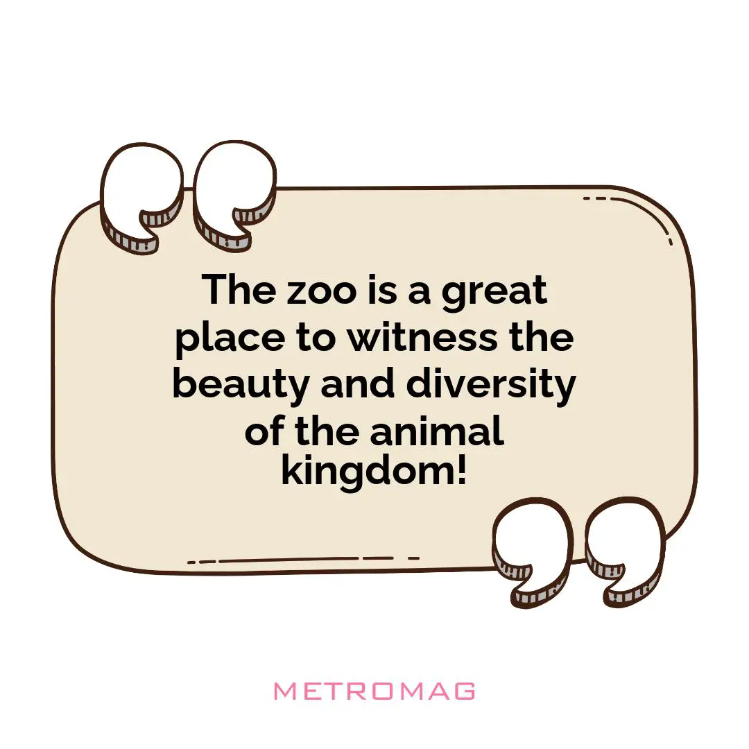 The zoo is a great place to witness the beauty and diversity of the animal kingdom!