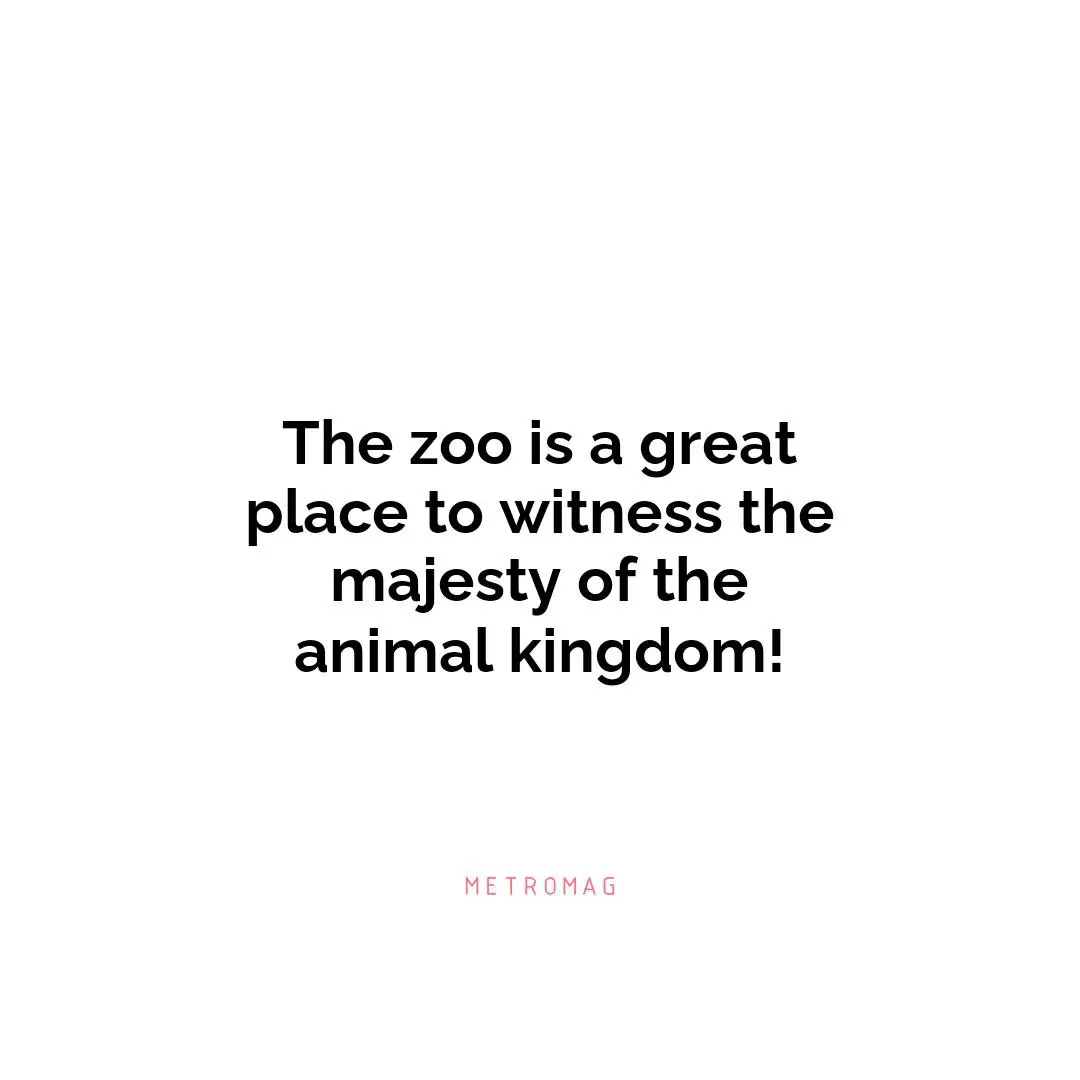 The zoo is a great place to witness the majesty of the animal kingdom!